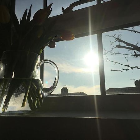 Brighton Boutique Garden Studio With Free Parking Zewnętrze zdjęcie