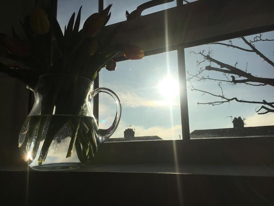 Brighton Boutique Garden Studio With Free Parking Zewnętrze zdjęcie